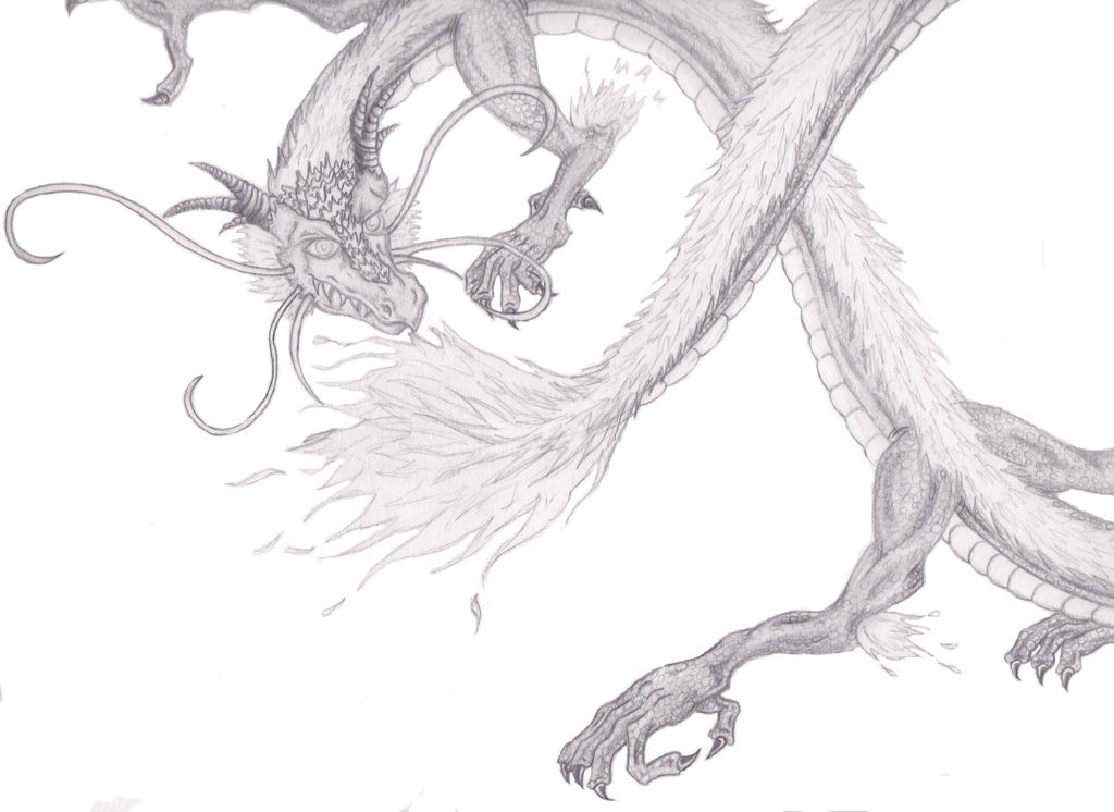 1024x746 Chinese Dragon Pencil Drawing - Chinese Dragon Pencil Drawings
