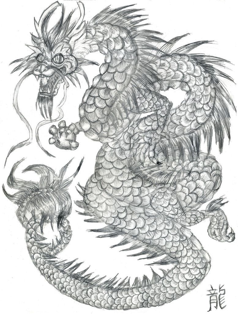 Chinese Dragon Pencil Drawings At PaintingValleycom | Explore