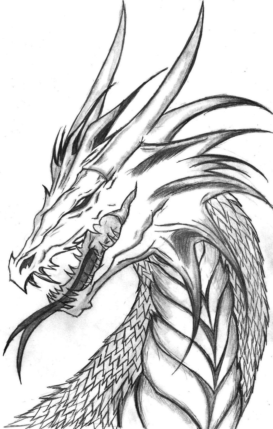 Easy Pencil Cool Dragon Drawing iwanadiaries