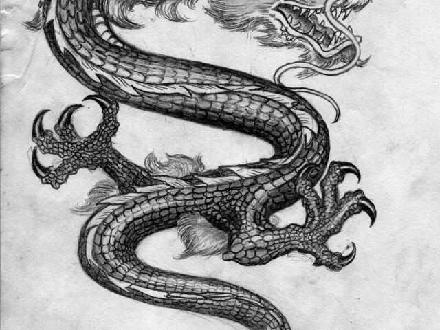 Chinese Dragon Pencil Drawings at PaintingValley.com | Explore ...