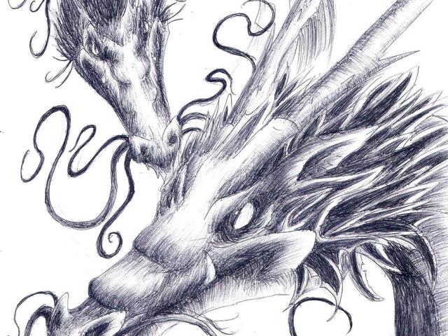 640x480 Drawn Chinese Dragon Pencil - Chinese Dragon Pencil Drawings