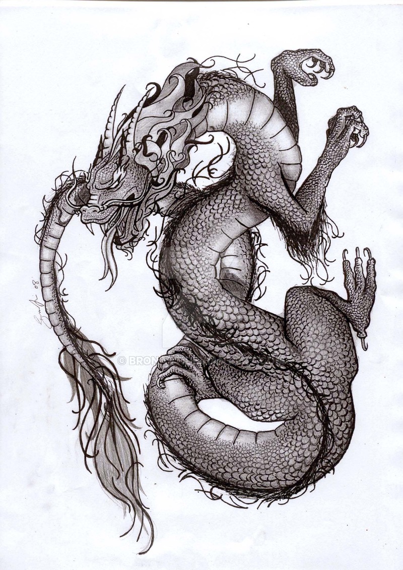 800x1130 Chinese Dragon - Chinese Dragon Pencil Drawings