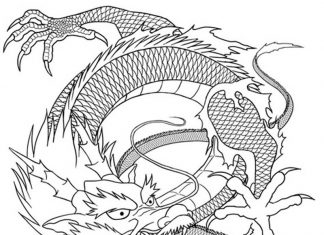324x235 Dragon Tattoos - Chinese Dragon Tattoo Drawing