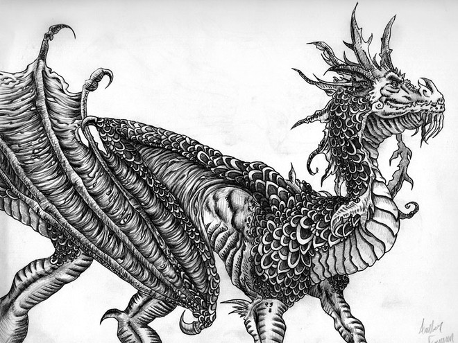 660x495 How To Draw A Realistic Dragon - Chinese Drawing Dragon