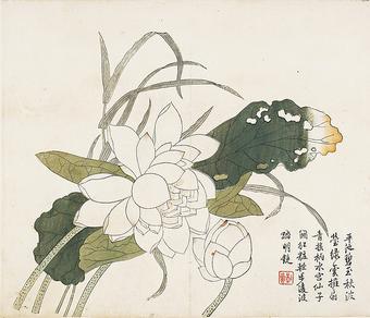 340x292 Chinese Painting - Chinese Drawings