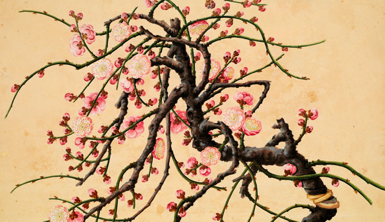 753x435 India And China Natural History Museum - Chinese Drawings