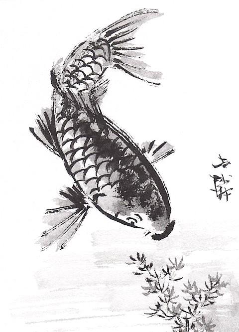 480x666 carp drawing fish china for free download - Chinese Fish Drawing
