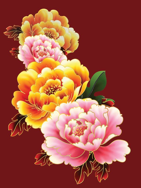 Chinese Flower Drawing at Explore collection of