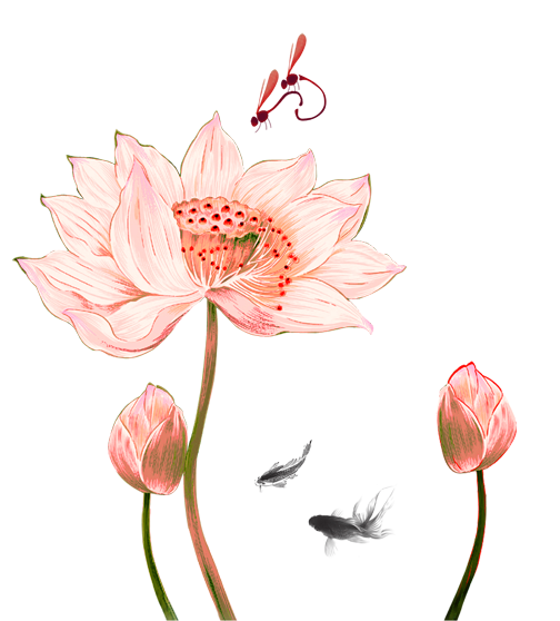 504x558 Drawing Chinese Flower Transparent Png Clipart Free Download - Chinese Flower Drawing