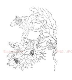 236x265 Best Chinese Line Drawing Images Colouring Pages, Flower Line - Chinese Flower Drawing