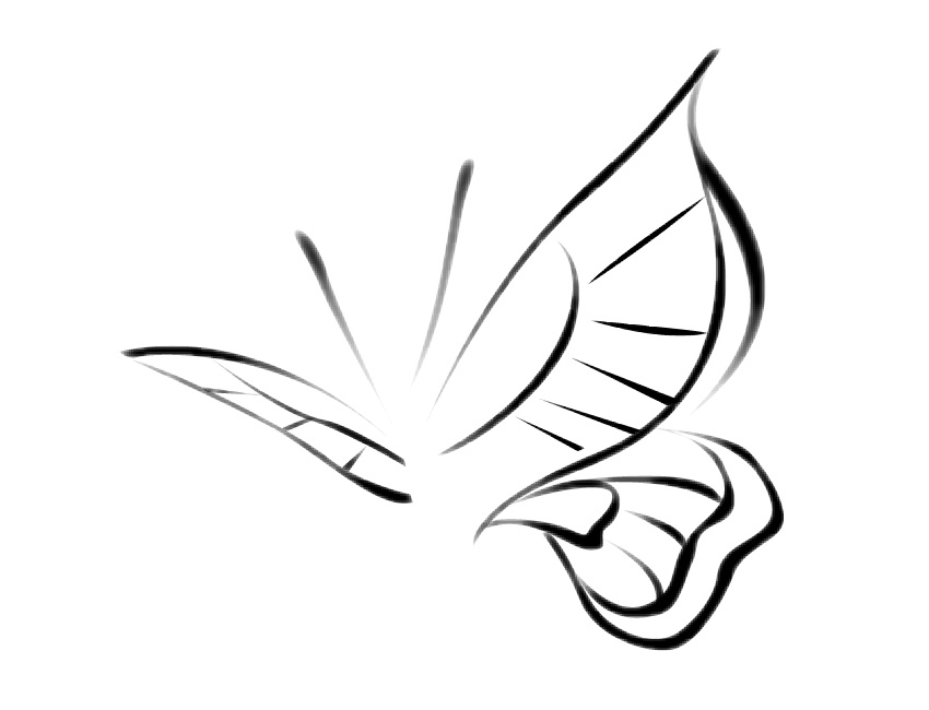 850x650 How To Create A Traditional Chinese Bird And Flower Painting Using - Chinese Flower Drawing