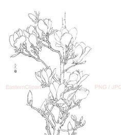 236x265 Best Gong Bi Images In Art Drawings, Drawing Sketches - Chinese Flower Drawing