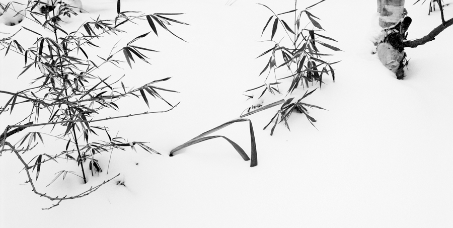 900x453 The Synthesis Of Chinese Landscape Painting And Photography - Chinese Landscape Drawing