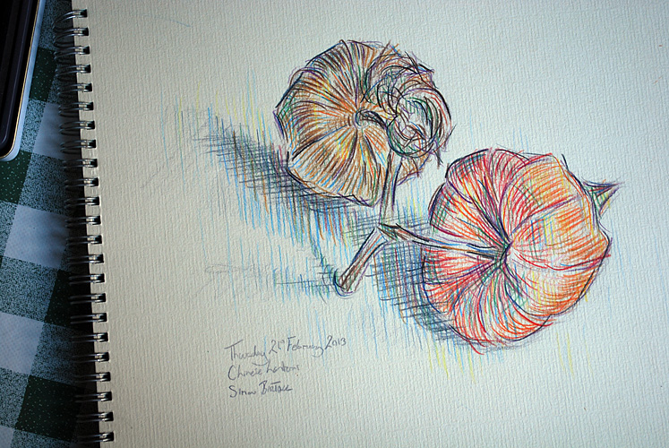 747x500 chinese lantern - Chinese Lantern Drawing