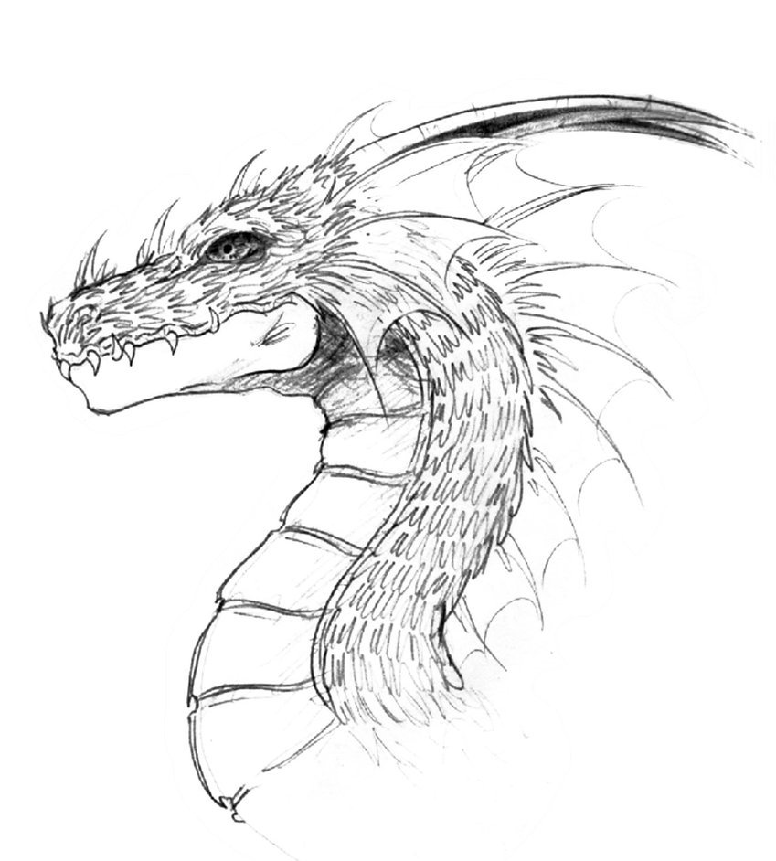 849x942 Cool Chinese Dragon Head Drawings - Chinese Lion Head Drawing