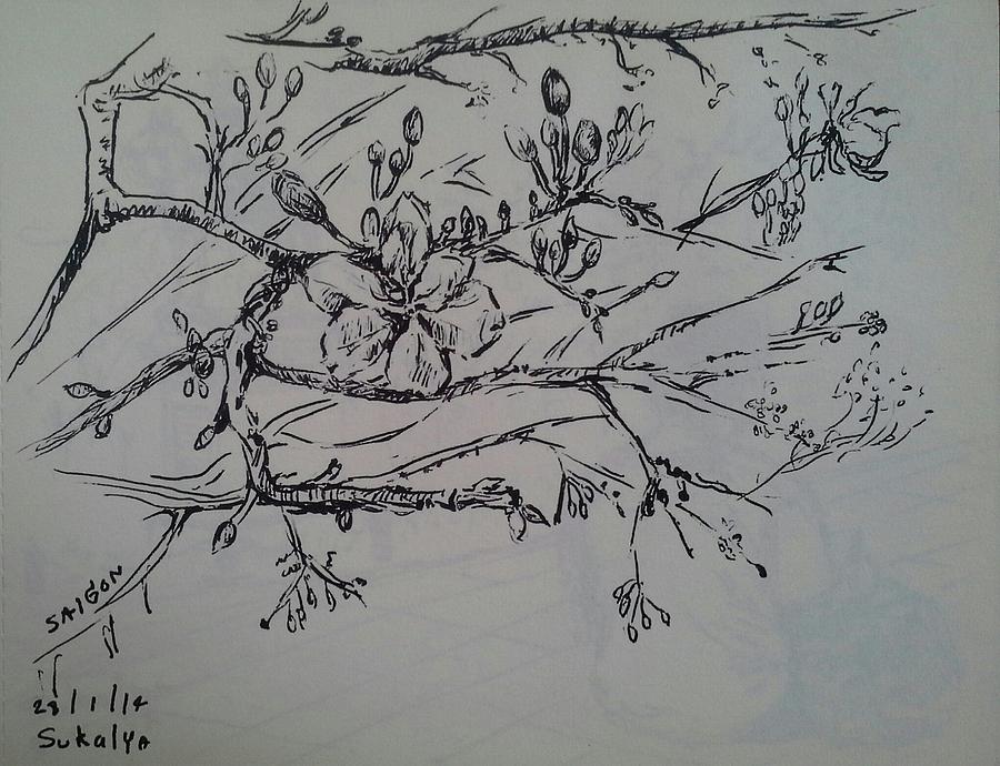 900x690 the chinese new year flowers drawing - Chinese New Year Drawing