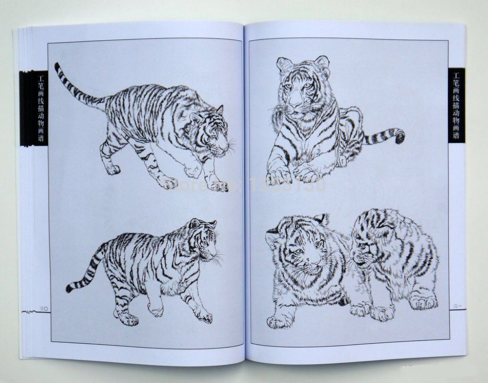 1000x786 chinese book painting tiger album xianmiao - Chinese Tiger Drawing