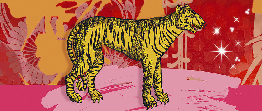 900x381 Montage Of The Chinese Year Of The Tiger - Chinese Tiger Drawing