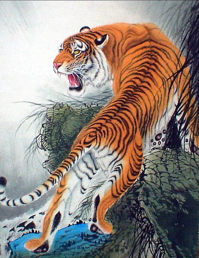 663x859 Tattoo Arts Of Japan Explored Japanese Tiger - Chinese Tiger Drawing