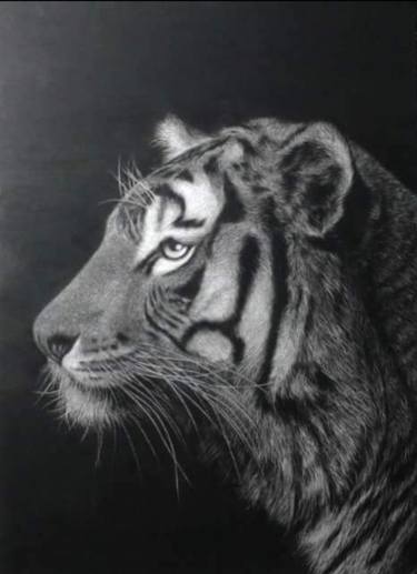 375x517 Tiger - Chinese Tiger Drawing