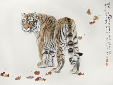 450x338 Tiger - Chinese Tiger Drawing