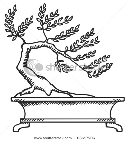 432x470 How To Draw Chinese Tree Beautiful Drawing - Chinese Tree Drawing