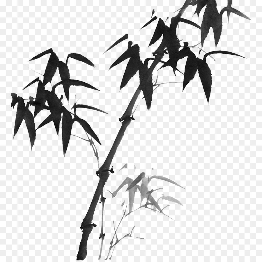 900x900 Bamboo Tree Drawing Bamboo Tree Stock Vector Art More Images - Chinese Tree Drawing