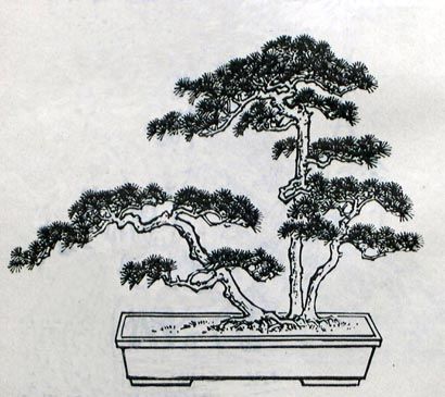 410x365 Penjing A Chinese Renaissance Vmd Minimal Fashion - Chinese Tree Drawing
