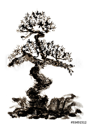 353x500 Pine Trees Isolated On White Background Ink Drawing - Chinese Tree Drawing
