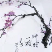200x200 Plum Blossom Chinese Painting - Chinese Tree Drawing
