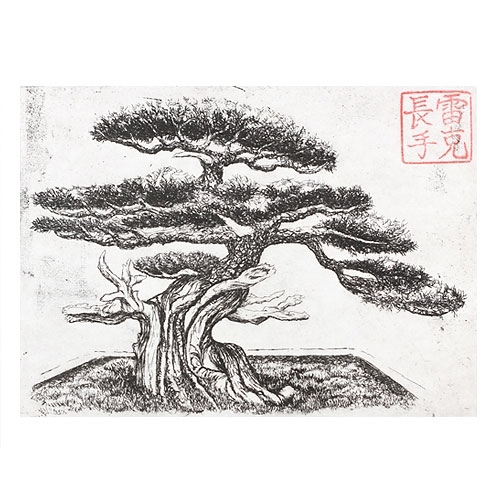 500x500 Bonsai Print Drawing - Chinese Tree Drawing