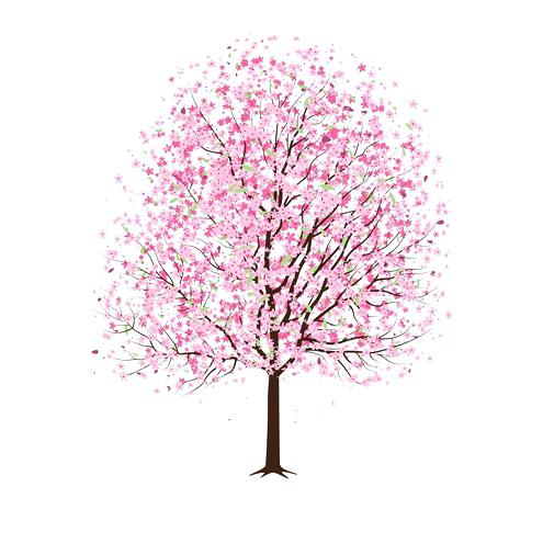 Chinese Tree Drawing at PaintingValley.com | Explore collection of ...