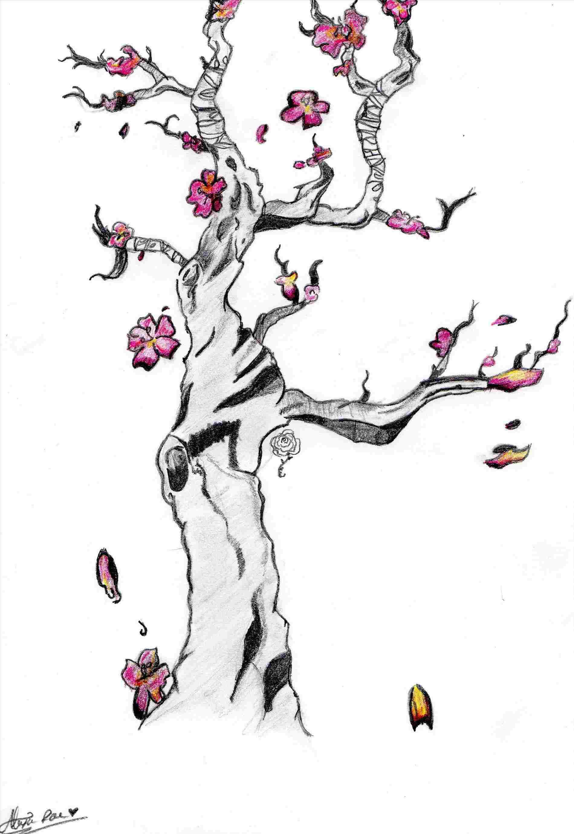 Chinese Tree Drawing at Explore collection of