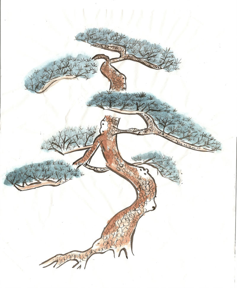 Chinese Tree Drawing at Explore collection of