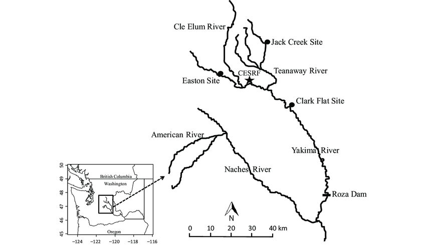 850x501 map of the yakima river system the three spring chinook salmon - Chinook Salmon Drawing