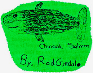 300x236 oregon secretary of state oregon focus state symbols fish - Chinook Salmon Drawing