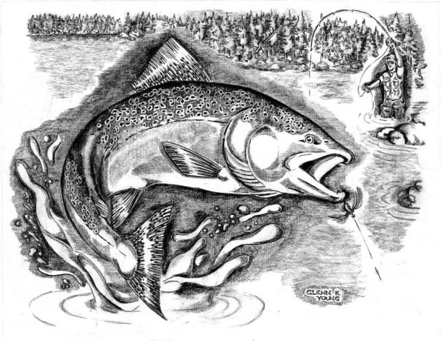 640x495 chinook salmon flight photo - Chinook Salmon Drawing