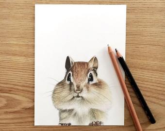 340x270 chipmunk drawing etsy - Chipmunk Drawing