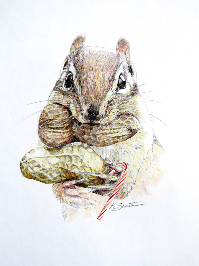 675x900 christmas chipmunk drawing - Chipmunk Drawing