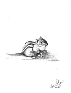 230x300 contented chipmunk drawing - Chipmunk Drawing