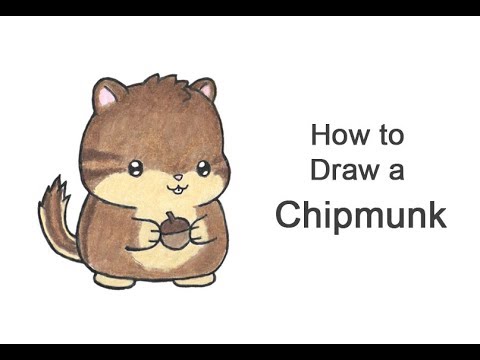 480x360 how to draw a chipmunk - Chipmunk Drawing