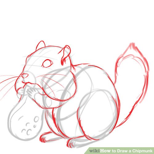 500x500 how to draw a chipmunk steps - Chipmunk Drawing
