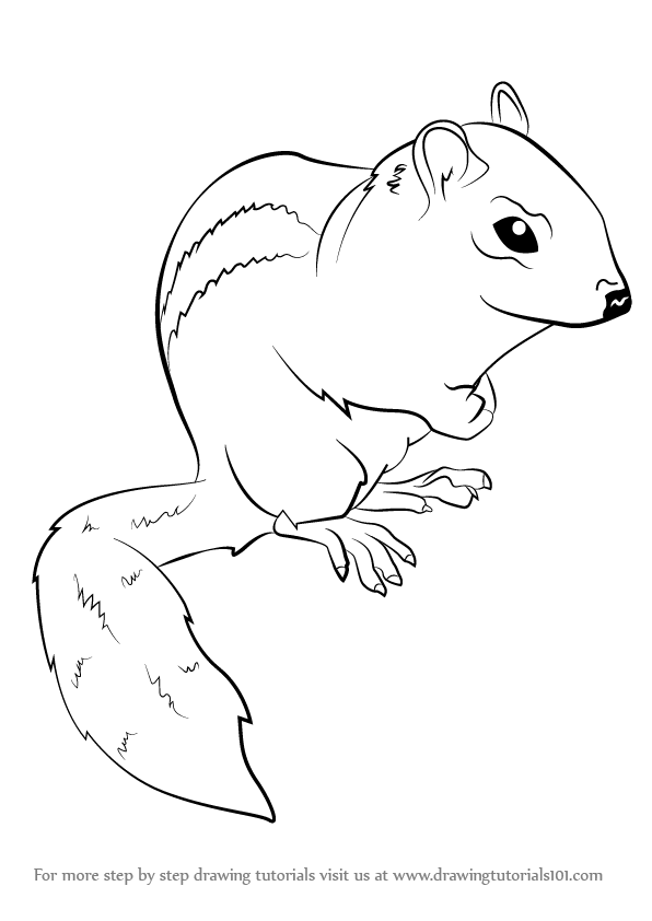 596x842 learn how to draw an eastern chipmunk - Chipmunk Drawing