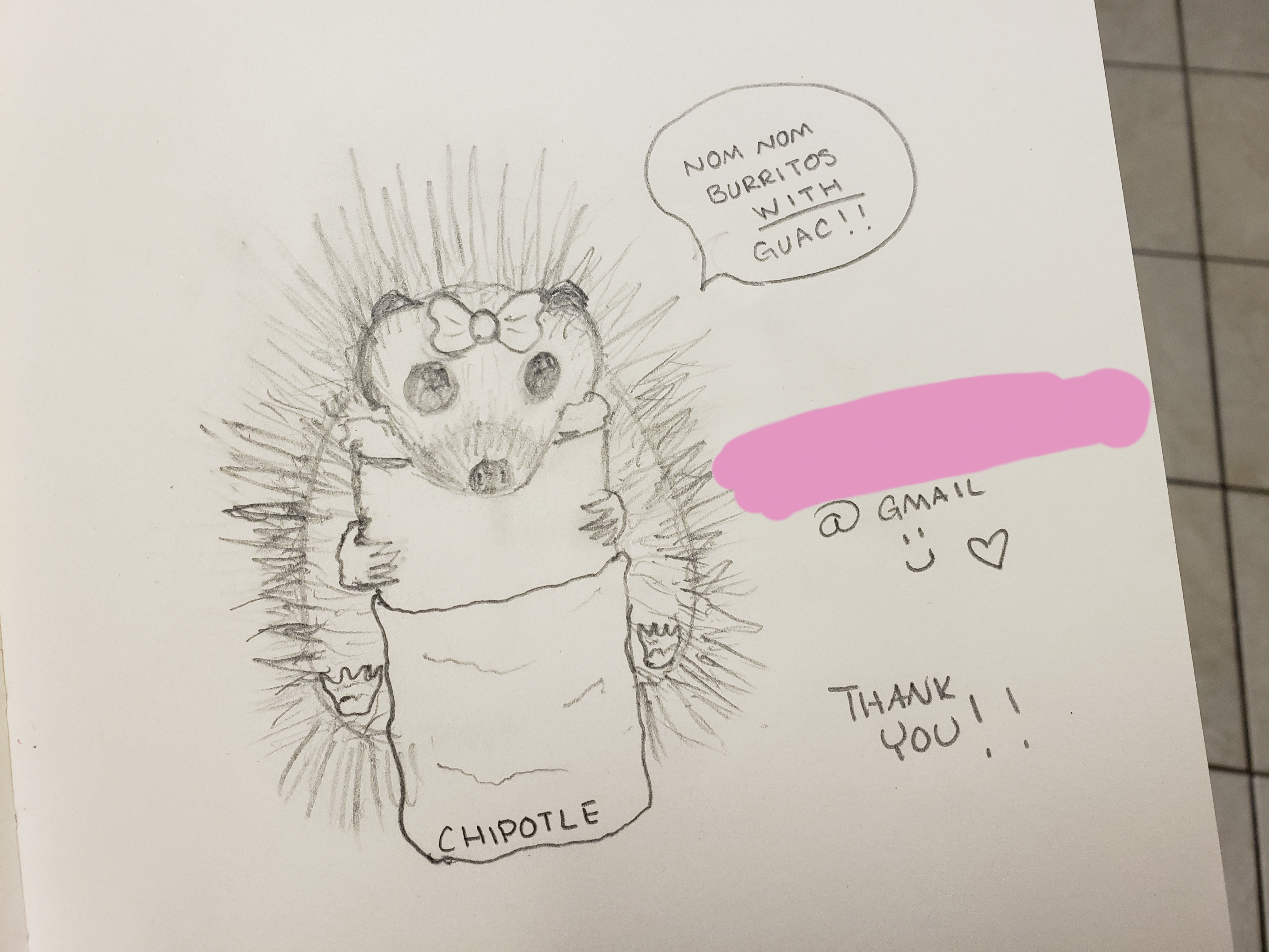 4032x3024 Hedgehog Drawing Sent To Chipotle For Free Stickers - Chipotle Drawing