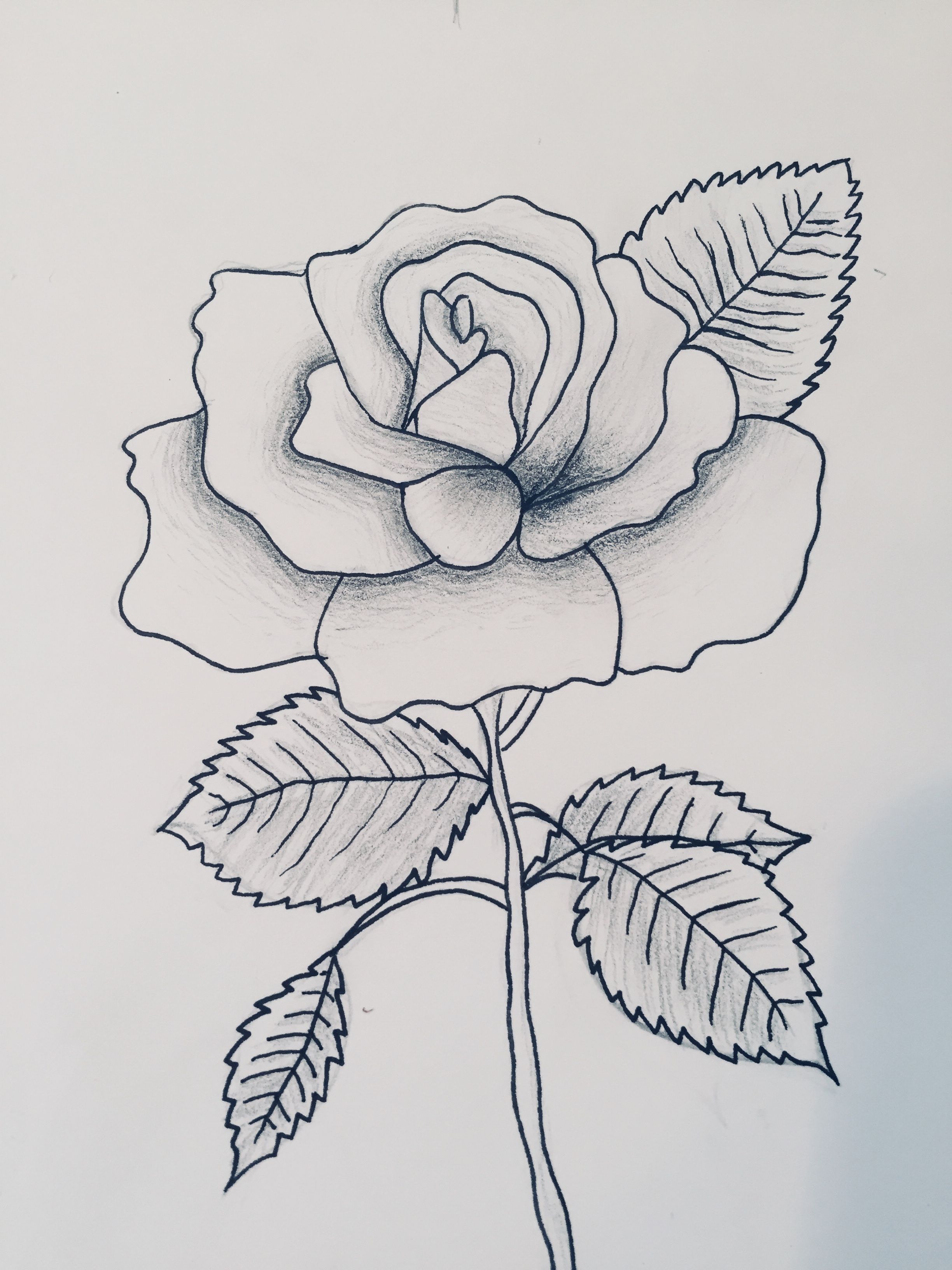 2448x3264 My Drawings In Art Drawings - Chivas Drawing