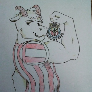 320x320 I Drew The Chivas Mascot And Logo For My Bf He Seemed Very Happy - Chivas Drawing