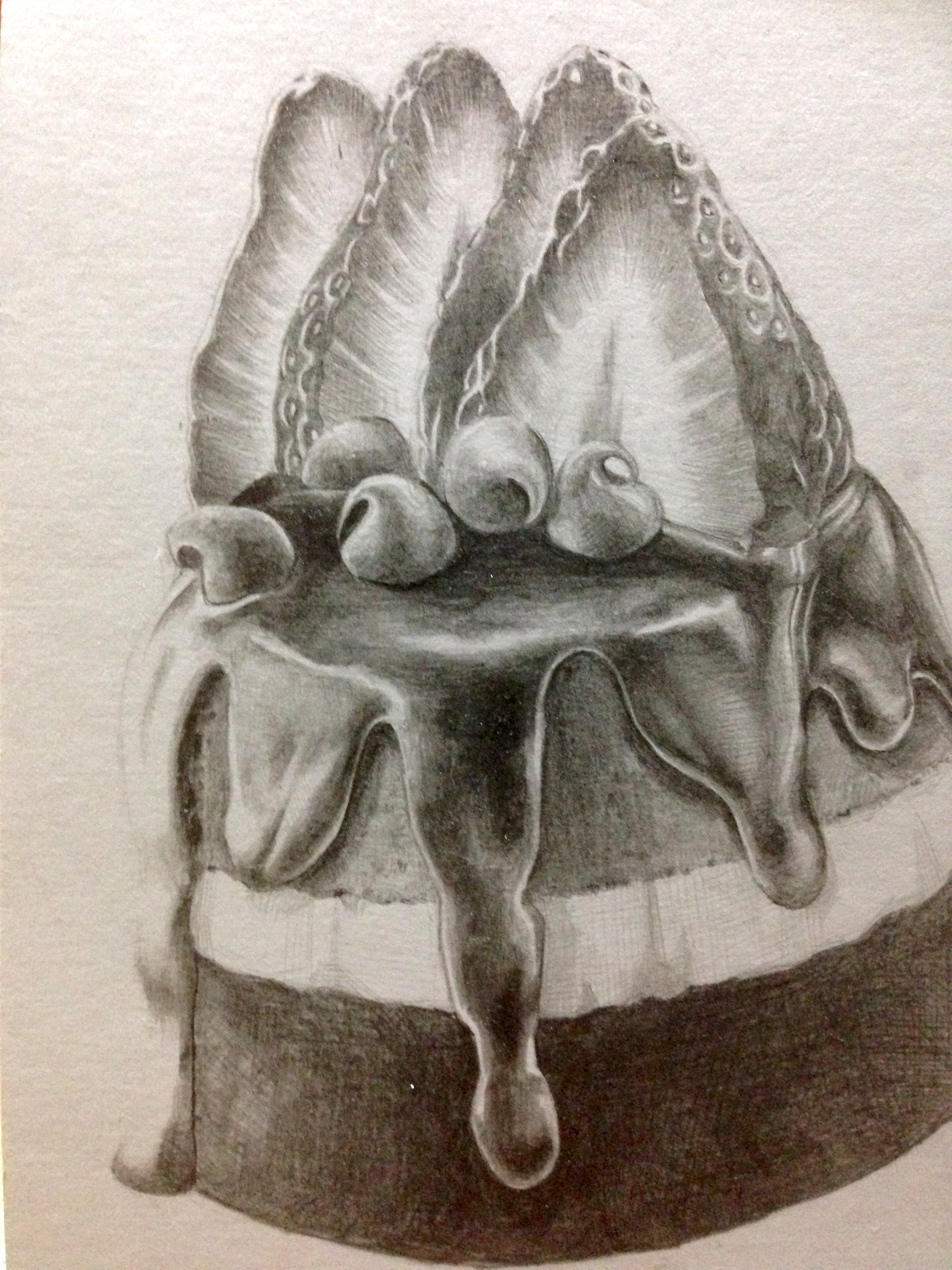 2448x3264 Pencil Drawing Chocolate Cake - Chocolate Cake Drawing