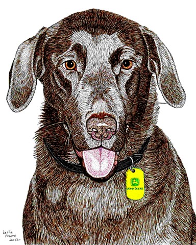 384x480 Leslie Moore - Chocolate Lab Drawing