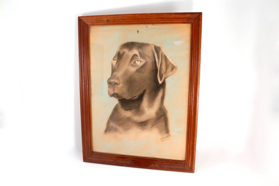 570x380 Vintage Original Chocolate Lab Drawing Brown Labrador Dog Etsy - Chocolate Lab Drawing