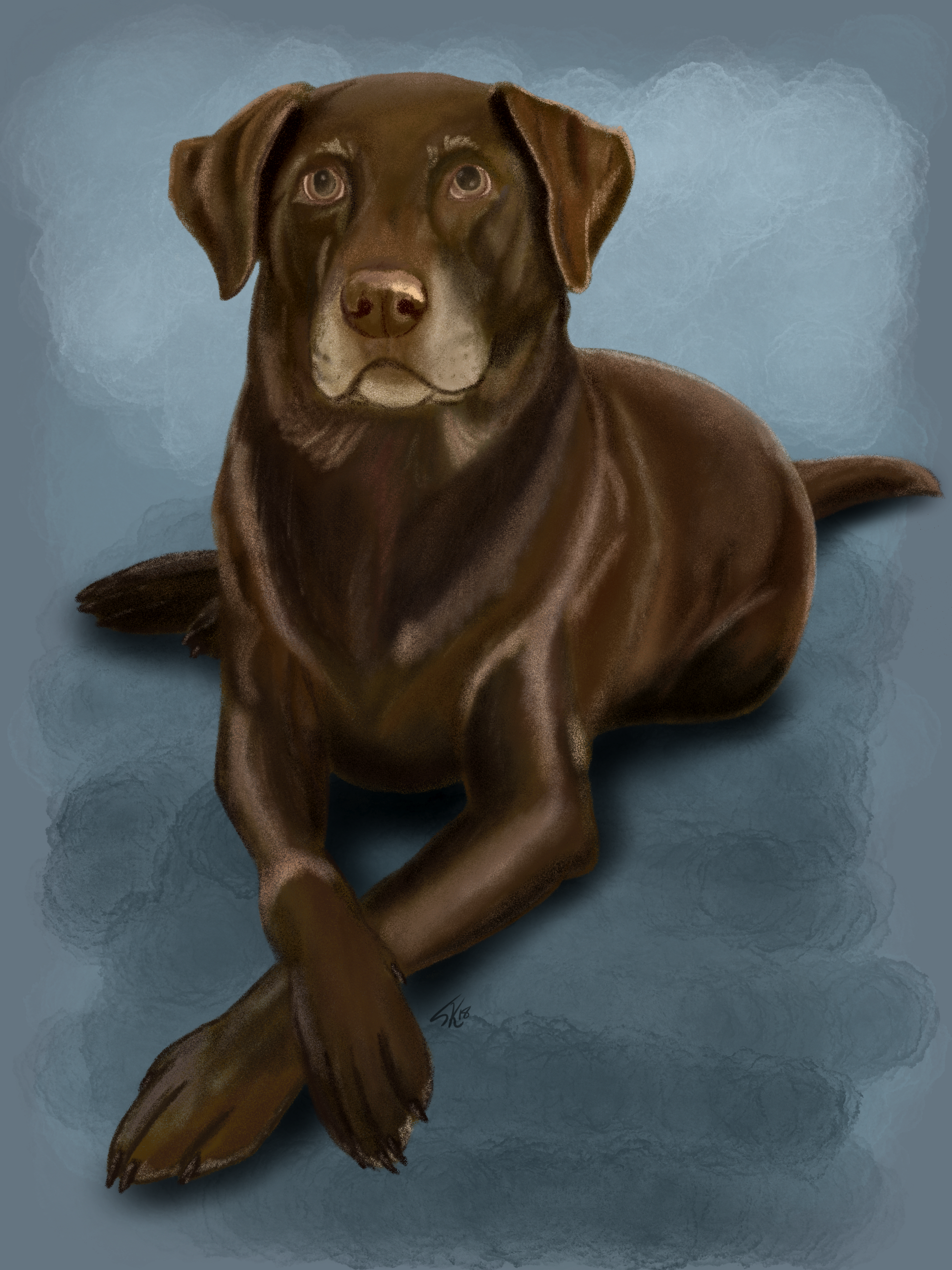 Chocolate Lab Drawing at Explore collection of